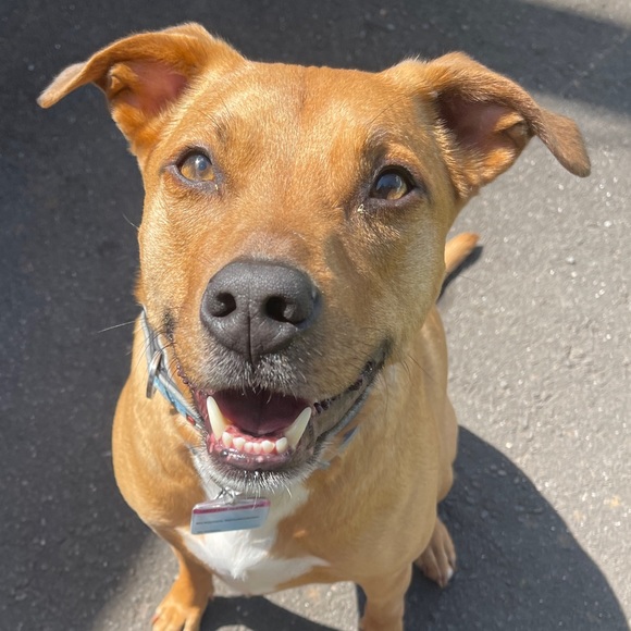 welcome to smackenβs closet ππ»ββοΈ - Picture 9 of 9